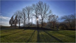 guy-dauvergne055