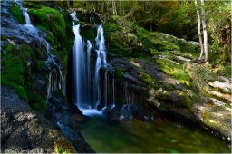 guy-dauvergne058
