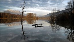 guy-dauvergne068