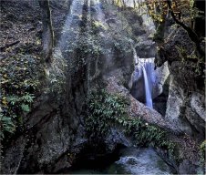 guy_dauvergne102