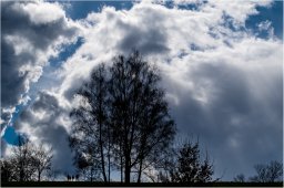 guy_dauvergne113