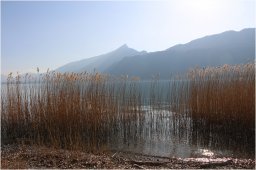 img_4810
