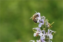img_5281