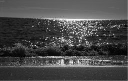 img_8500