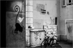 Le chat