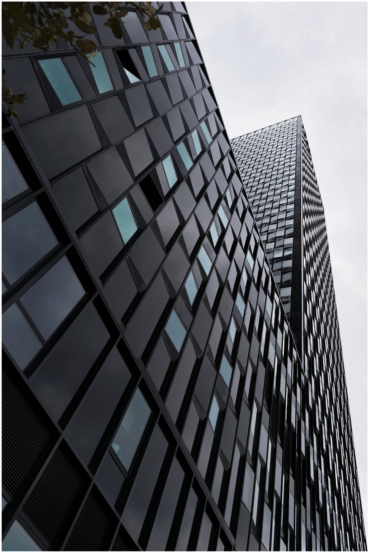 lignes