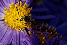 2021_09_img_8968