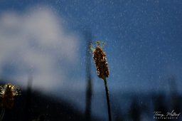 2022_05_img_0084