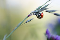 2022_05_img_1011