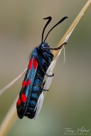 2022_06_img_2881