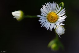 2022_07_img_2797
