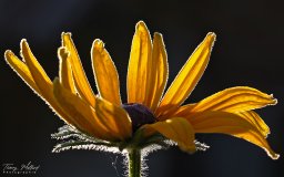 2022_07_img_3637