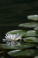 2022_07_img_7644