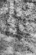 _21a4016-modifier-modifier