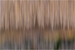 _21a6843-modifier-modifier