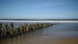 _dsc1426