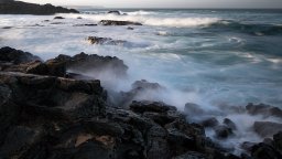 img_8984