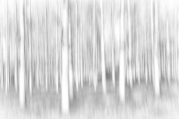 img_9504-modifier